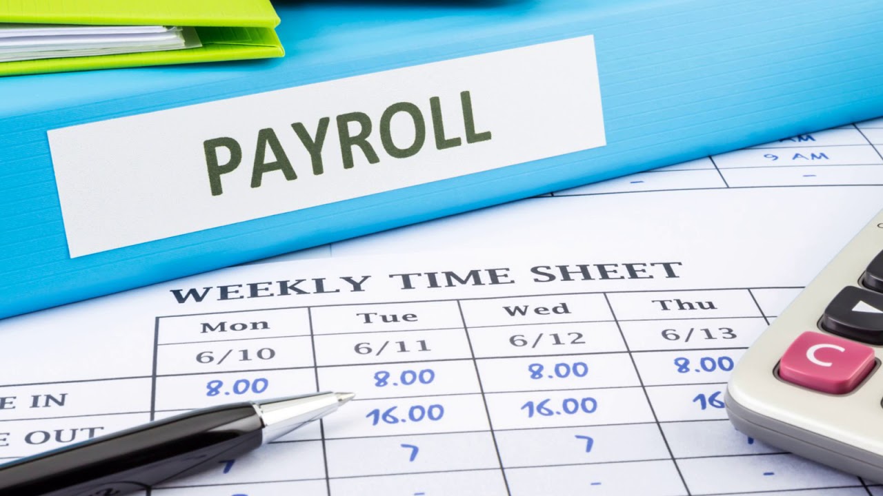 Payroll Management & WPS Setup Assistance