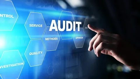 Audit Preparation & External Auditor Coordination